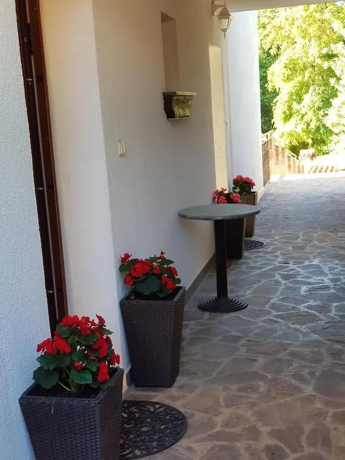Adriana F. Croatia