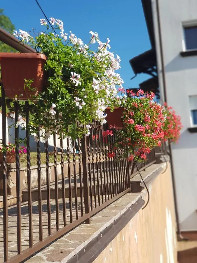 Apartman Adriana F.